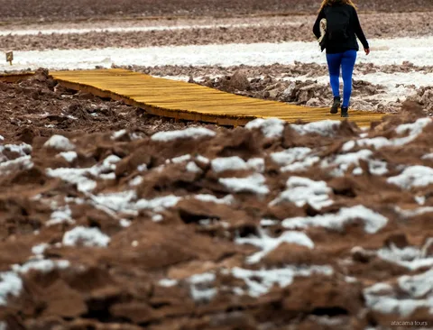 Atacama tours to Baltinache, hiker walking a wooden boardwalk across a rough salt crust plain