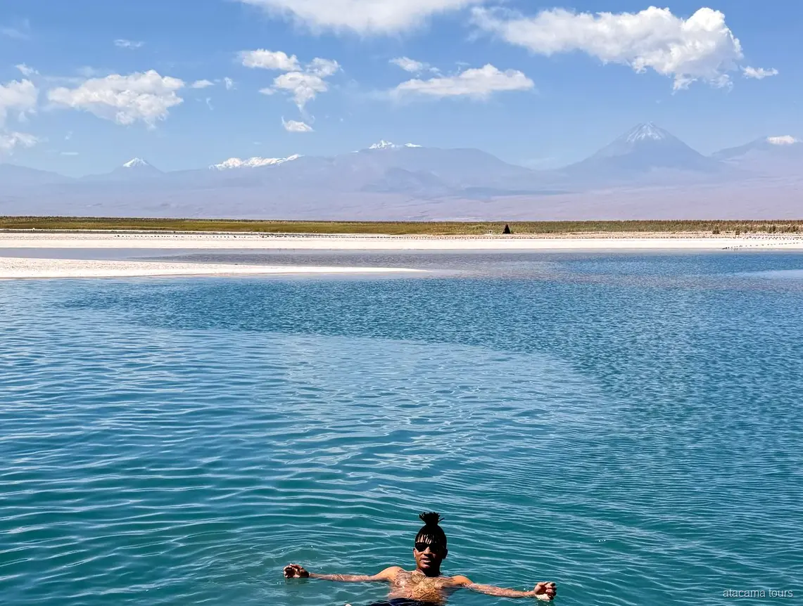 Excursions dans l'Atacama à la Laguna Cejar, baigneur flottant face aux volcans enneigés