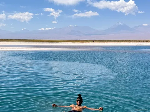 Atacama tours naar Laguna Cejar, zwemmer drijft in blauw water met besneeuwde vulkanen erachter