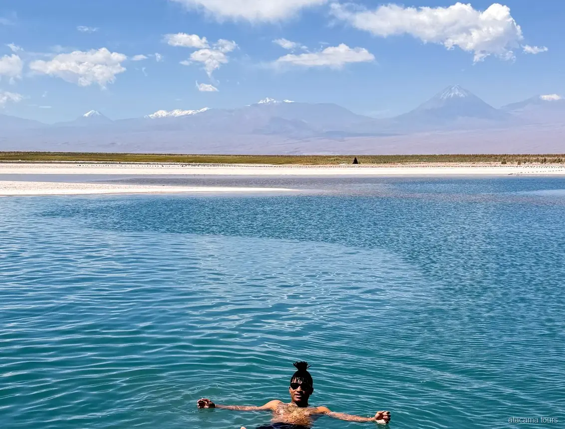 Atacama tours to Laguna Cejar, swimmer floating in blue water with snowcapped volcanoes behind