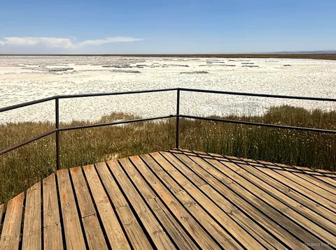 Atacama tours to Laguna Cejar, wooden viewing deck with railing overlooking the white salt flat