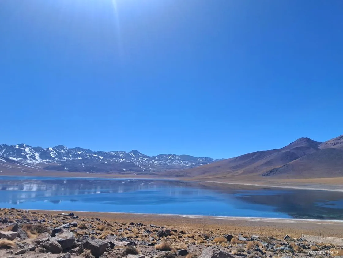 Atacama tours naar de Altiplano lagunes, diepblauwe lagune die besneeuwde Andestoppen weerspiegelt