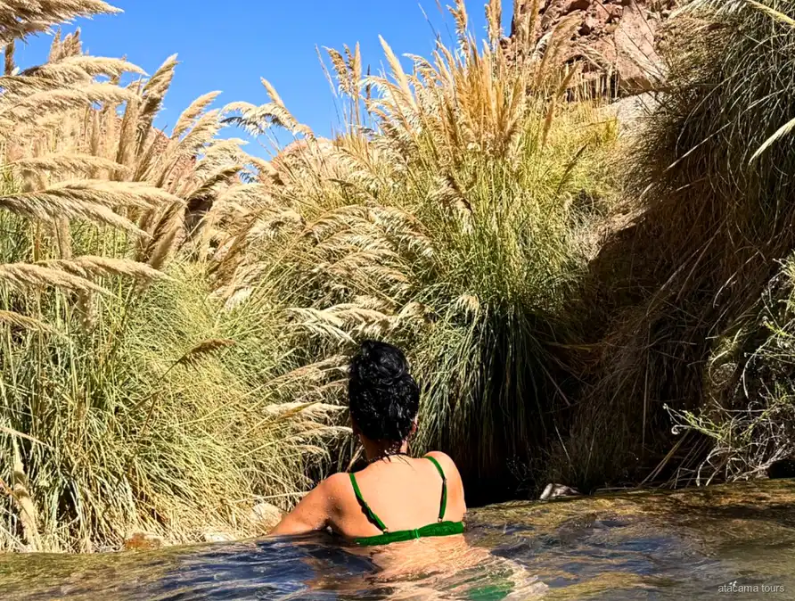 Atacama tours at Puritama Hot Springs, bather relaxing in a warm pool framed by tall pampas grass