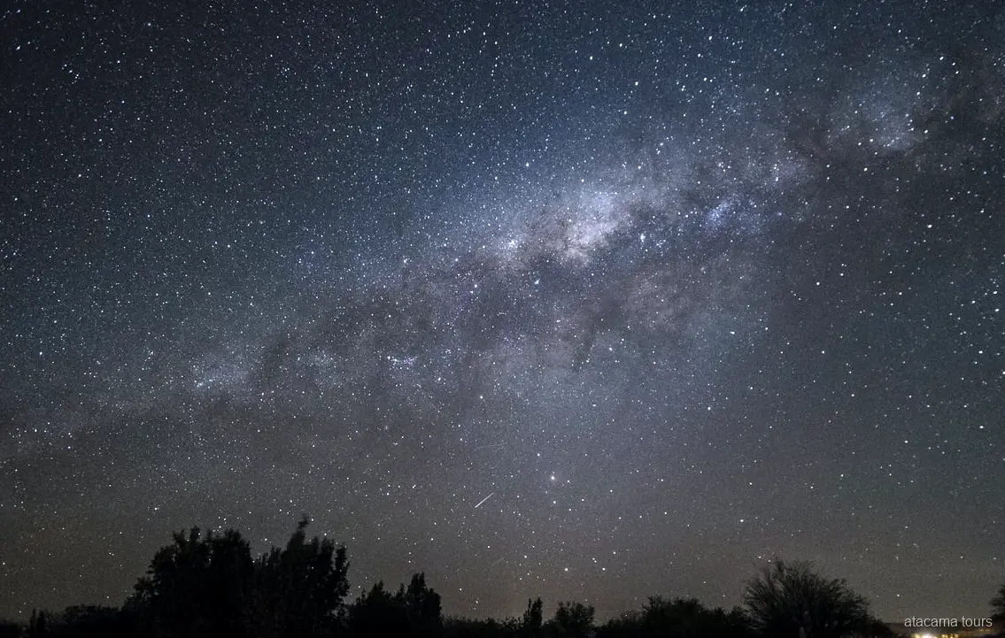 Atacama tours bij nacht, de Melkweg boven silhouetten van bomen met een vallende ster