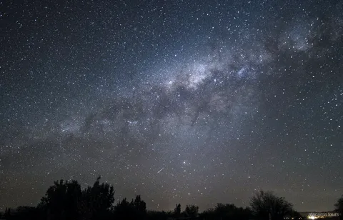 Tour notturni ad Atacama, la Via Lattea sopra sagome di alberi con una stella cadente