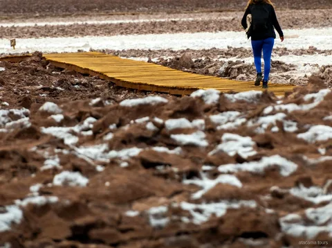 Passeios no Atacama a Baltinache, caminhante numa passarela de madeira sobre a crosta de sal