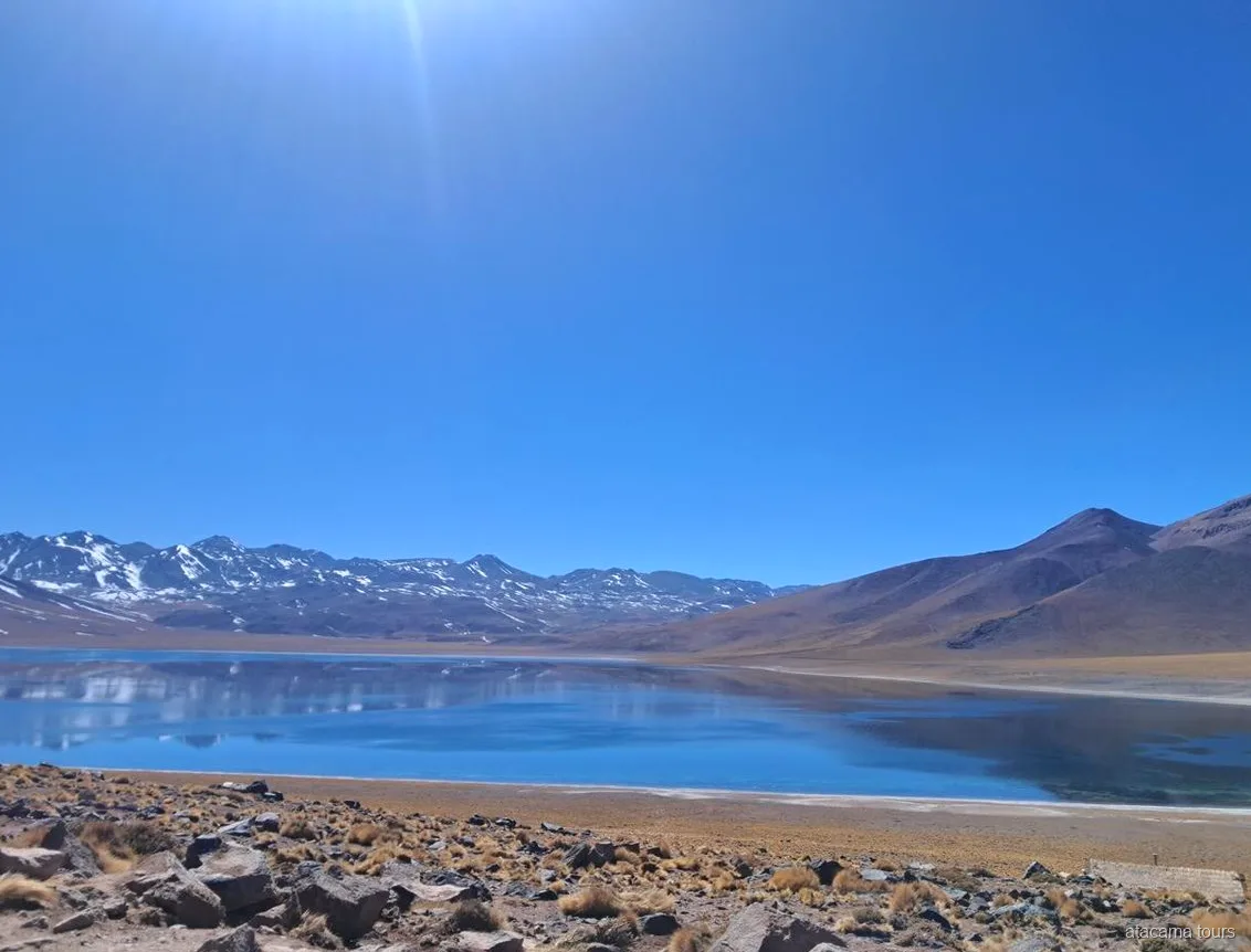 Tours en Atacama a las Lagunas Altiplánicas, laguna azul intenso que refleja cumbres andinas nevadas