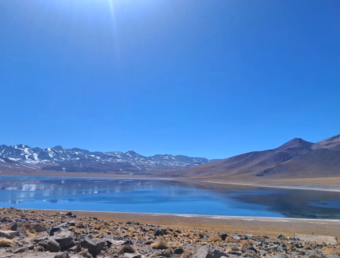 Tour nel deserto di Atacama alle Lagune Altiplaniche, laguna blu intenso che riflette vette innevate