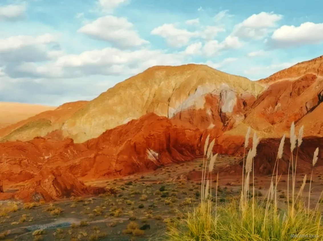 Tour nel deserto di Atacama alla Valle dell'Arcobaleno, colline arancio, ocra e bianche dietro l'erba della pampa