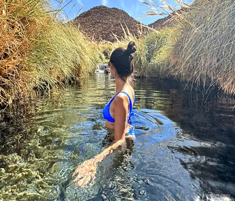 Trasferimento terme di Puritama, piscine termali in un canyon verde nel deserto
