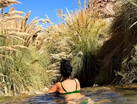 Tour nel deserto di Atacama alle terme di Puritama, bagnante in una pozza calda tra alte erbe della pampa
